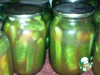 ������ � ������� ���� �����������