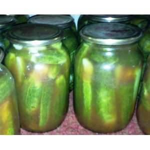 ������ � ������� ����