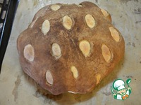 �������� ����� �����������