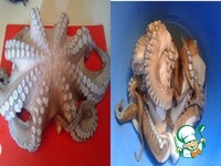 �������� � ����������-�������� �����������