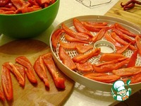 ������ ���� "�������" �����������