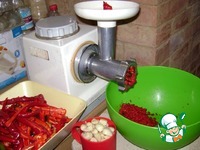 ������ ���� "�������" �����������