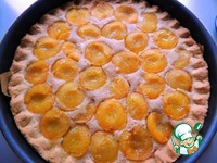 ���� �� ������� � �������� �����������