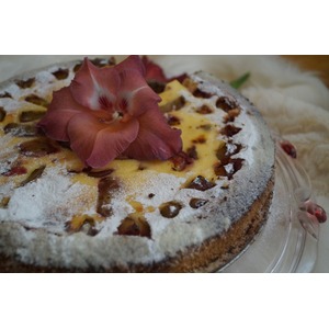 �������� �������� �����