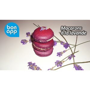 ������� � ��������