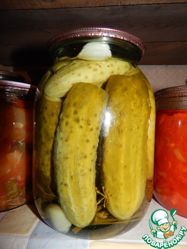 ����� ������ ������������ ��������