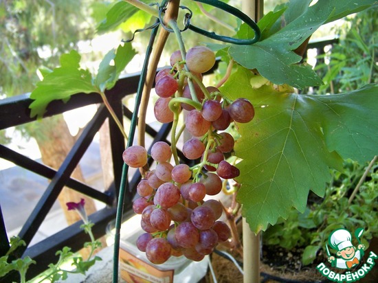 ����� �� ��� ������� � �� ������