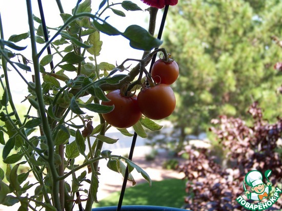 ������ ������ ��������� �� �������