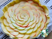 �������-��������� ���� �����������