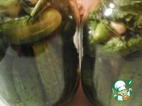 ������ "�� ������" �����������