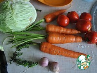 ������������� ����� ��� ���� �����������