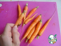 ������ � �������� �����������