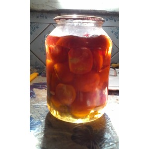 �������� "���������"