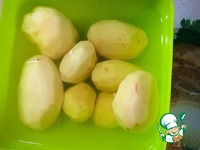 ������������ ������ �� ��� ������ ����� �����������