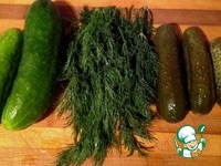 ��������� ���� �����������