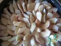 �������-��������� ����� � �������� ������ �����������