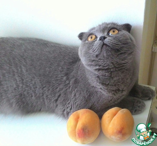 ������� � ���������