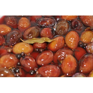 ������������ �����