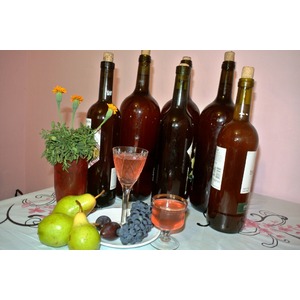 ���� �� ��������� ������ ����