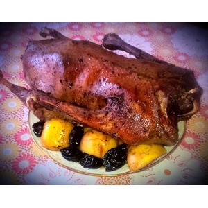 ���� "����������� ��������"