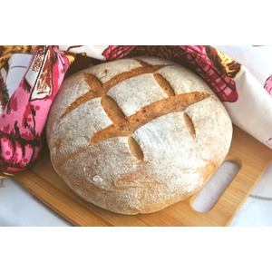 ����� ������� ����