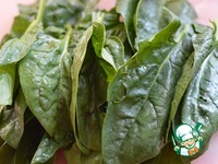 ������� ���� � ������� � �������� �����������