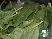 ������� ���� � ������� � �������� �����������