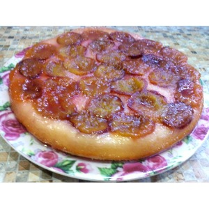 �������� ����-����������