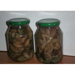 ������������ ����� "�������� ��������"