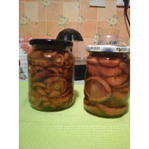 ������ ���������