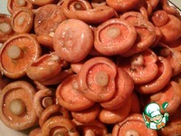 ������ ��������� �����������