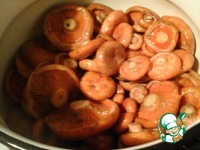 ������ ��������� �����������