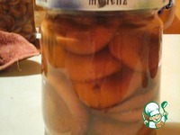 ������ ��������� �����������