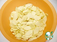 ������-�������� ��������� � �������� �����������