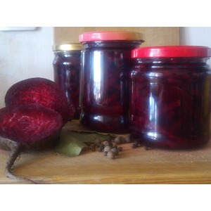 ������������ ������