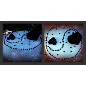 ����������� �������� ����