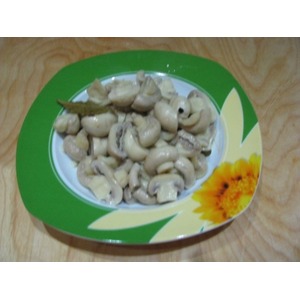 ������ ������������ ���������� � ���������� ����������