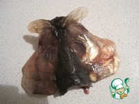 ������ �������� �����������