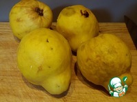 ������ ������, ���������� � ����� �����������