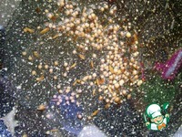 ������� ������� � ����� � ������� �����������