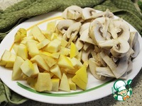 ������ ����� �� ����������� � ����� �����������