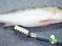 ������������� ���� "��������� ���������" �����������