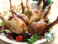 �������� � ���������� � �������� �����������