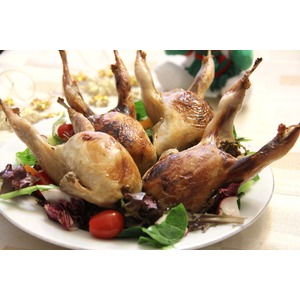 �������� � ���������� � ��������