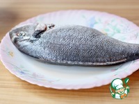 ������ � ��������� ������ � �������� �����������