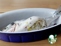 ������ � ��������� ������ � �������� �����������