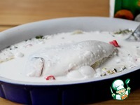 ������ � ��������� ������ � �������� �����������