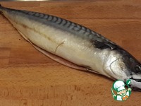 ������ �� �������� � ����� ��������� �����������