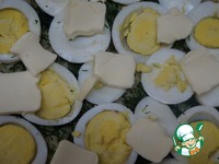 ������������ ������ "�������" �����������