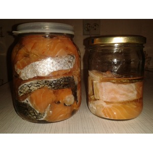 ����������� ������� ���� �������� �������������